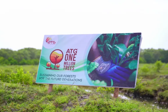 Contribution to increased forest cover