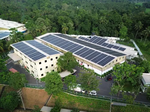 Renewable Energy Transition