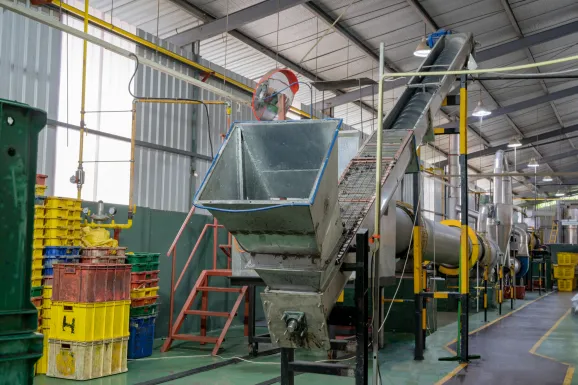 Innovations & Circular Economy
