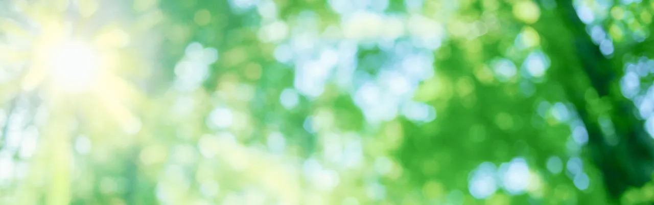 Corporate Social Responsibility