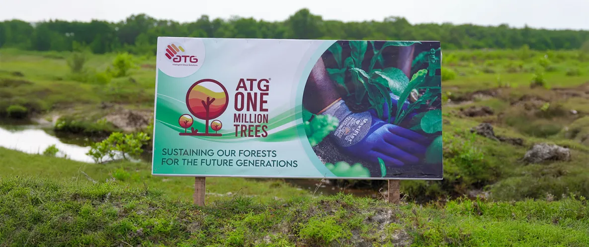 One Million Trees